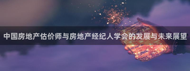 5新宝：中国房地产估价师与房地产经纪人学会的发展与未来展望