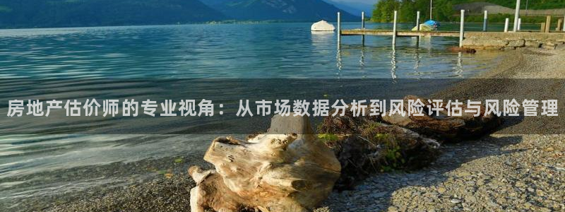 2022新宝骏rs 5：房地产估价师的专业视角：从市场数据分