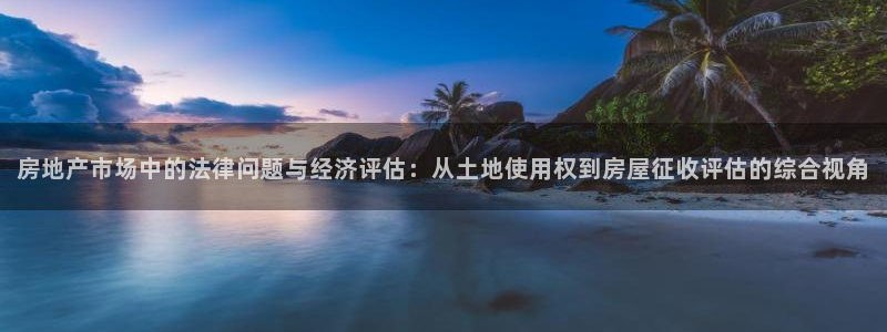 i新宝5：房地产市场中的法律问题与经济评估：从土地使用权到房