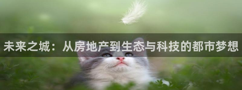 新宝5下载网址：未来之城：从房地产到生态与科技的都市梦想