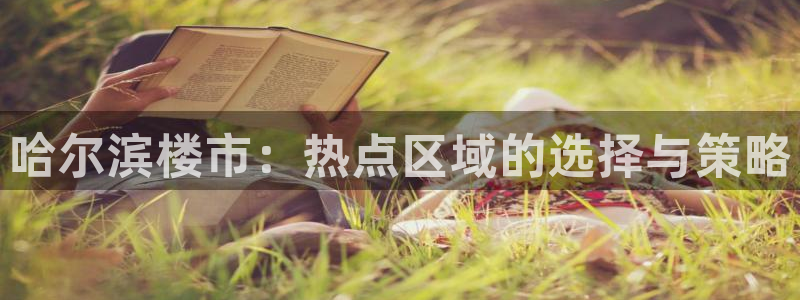新宝5娱乐注册：哈尔滨楼市：热点区域的选择与策略