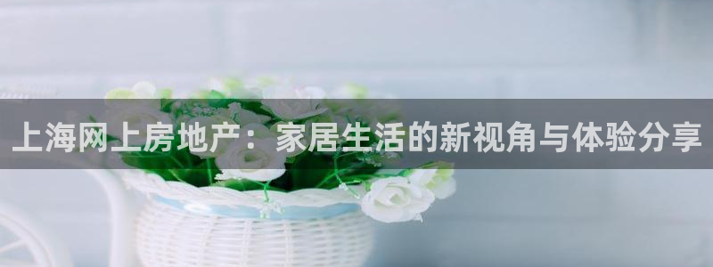 新宝5娱乐多：上海网上房地产：家居生活的新视角与体验分享