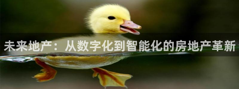 新宝5官方登录入口：未来地产：从数字化到智能化的房地产革新