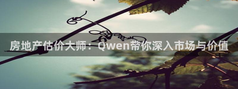 新宝5娱乐登录：房地产估价大师：Qwen带你深入市场与价值