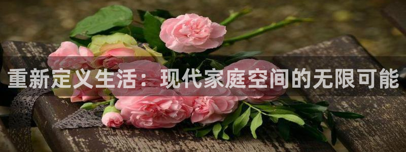 新宝5登录地址：重新定义生活：现代家庭空间的无限可能