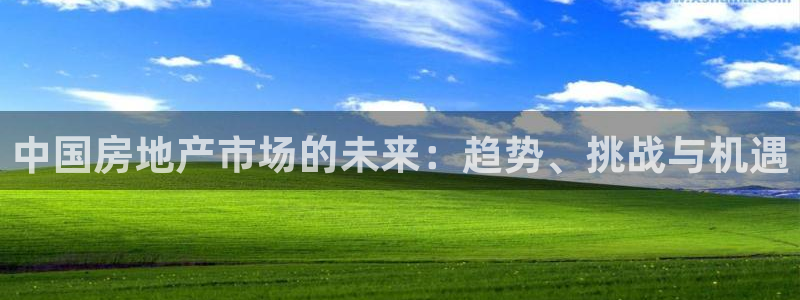 新宝5 888：中国房地产市场的未来：趋势、挑战与机遇