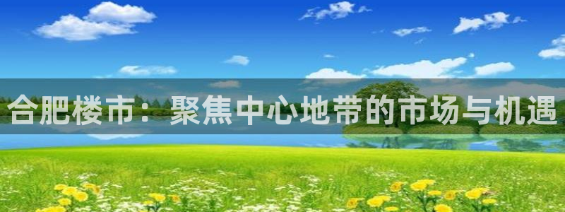 新宝5登录平台：合肥楼市：聚焦中心地带的市场与机遇