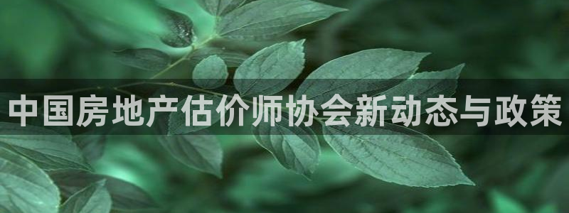 新宝5线路登录检测：中国房地产估价师协会新动态与政策