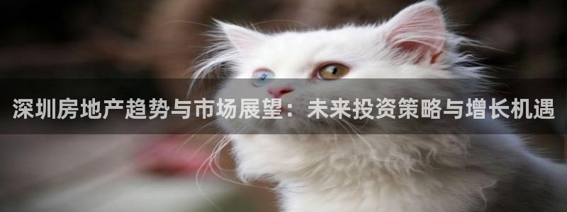 新宝5登录界面：深圳房地产趋势与市场展望：未来投资策略与增长