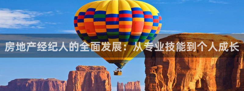 新宝xb5：房地产经纪人的全面发展：从专业技能到个人成长