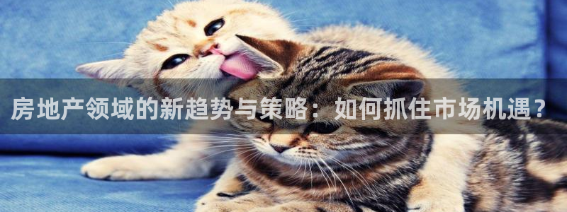 新宝5注册：房地产领域的新趋势与策略：如何抓住市场机遇？