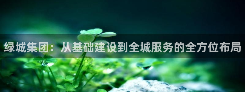 新宝5是谁：绿城集团：从基础建设到全城服务的全方位布局