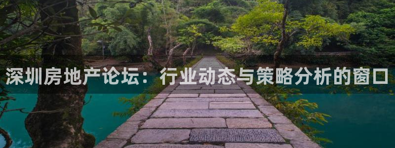 菲律宾新宝5老板：深圳房地产论坛：行业动态与策略分析的窗口