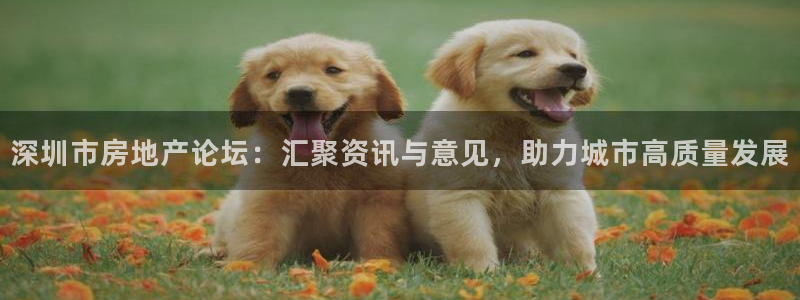 新宝5新宝6顺达：深圳市房地产论坛：汇聚资讯与意见，助力城市