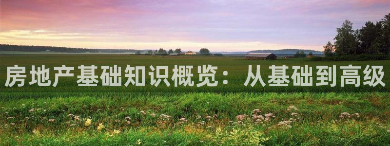 新宝5-测速：房地产基础知识概览：从基础到高级
