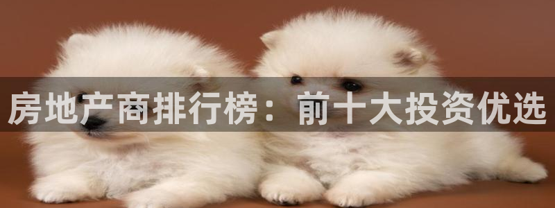 新宝5褚74OOO5：房地产商排行榜：前十大投资优选