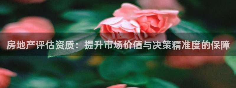 新宝5登录霸：房地产评估资质：提升市场价值与决策精准度的保障