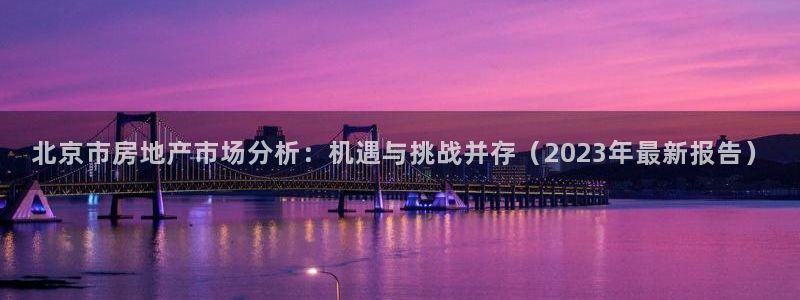 新宝5郑74OOO5：北京市房地产市场分析：机遇与挑战并存（