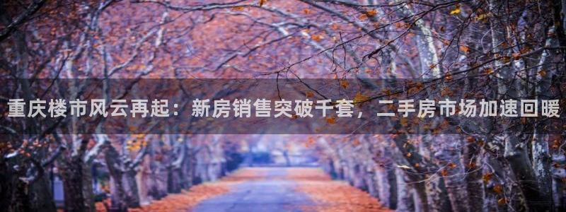 新宝5安卓版：重庆楼市风云再起：新房销售突破千套，二手房市场