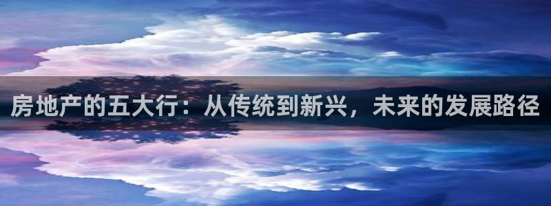 5新宝：房地产的五大行：从传统到新兴，未来的发展路径