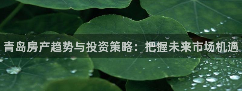 新宝5骗术：青岛房产趋势与投资策略：把握未来市场机遇