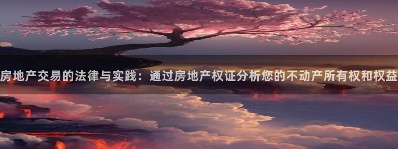 新宝测速5：房地产交易的法律与实践：通过房地产权证分析您的不