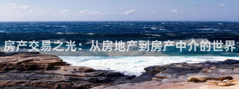 新宝5娱乐都：房产交易之光：从房地产到房产中介的世界