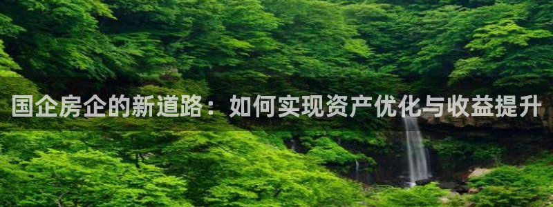 p5r新宝魔：国企房企的新道路：如何实现资产优化与收益提升