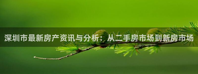 新宝5入口：深圳市最新房产资讯与分析：从二手房市场到新房市场