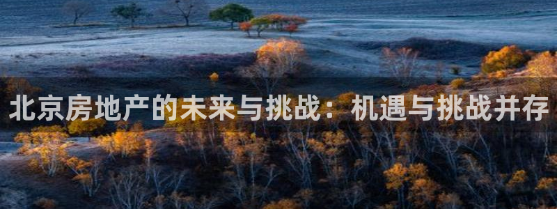新宝5 888：北京房地产的未来与挑战：机遇与挑战并存