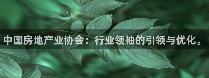 新宝5 唯一：中国房地产业协会：行业领袖的引领与优化。