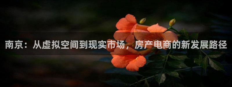 新宝股东张听2 5 5：南京：从虚拟空间到现实市场，房产电商