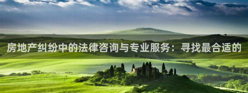 新宝5月：房地产纠纷中的法律咨询与专业服务：寻找最合适的