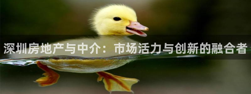 新宝5手机测速：深圳房地产与中介：市场活力与创新的融合者