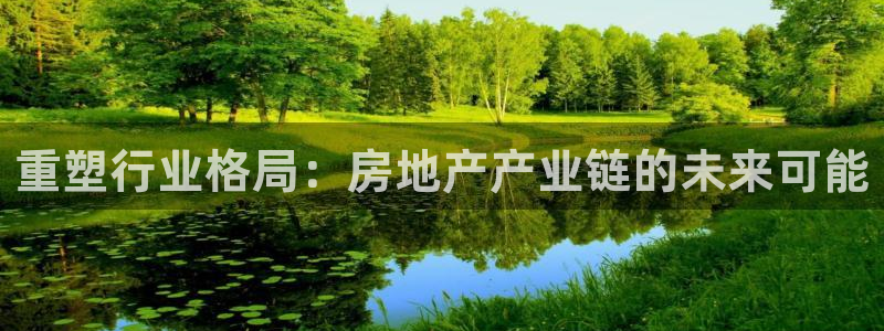 新宝5娱乐招商：重塑行业格局：房地产产业链的未来可能