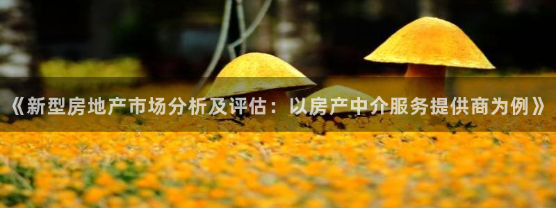 新宝5策略：《新型房地产市场分析及评估：以房产中介服务提供商