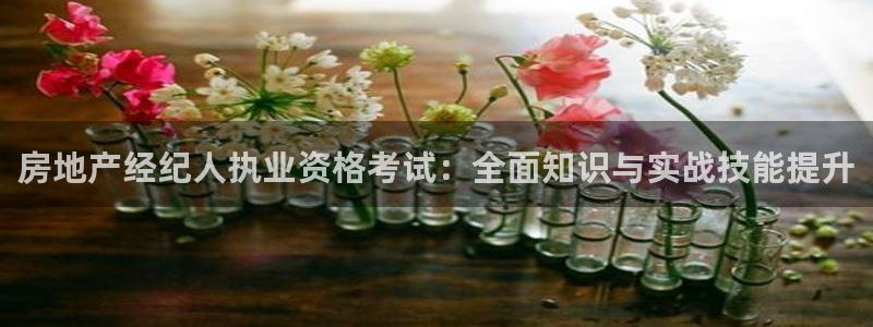 新宝5注册测速登录：房地产经纪人执业资格考试：全面知识与实战