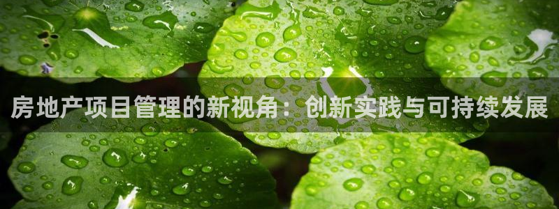新宝5现在还能玩吗：房地产项目管理的新视角：创新实践与可持续