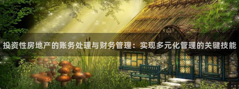 新宝股东张听2 5 5：投资性房地产的账务处理与财务管理：实