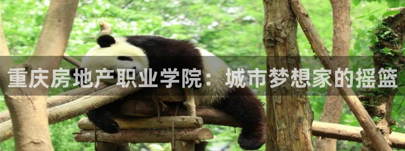 新宝5彩票平台登陆：重庆房地产职业学院：城市梦想家的摇篮