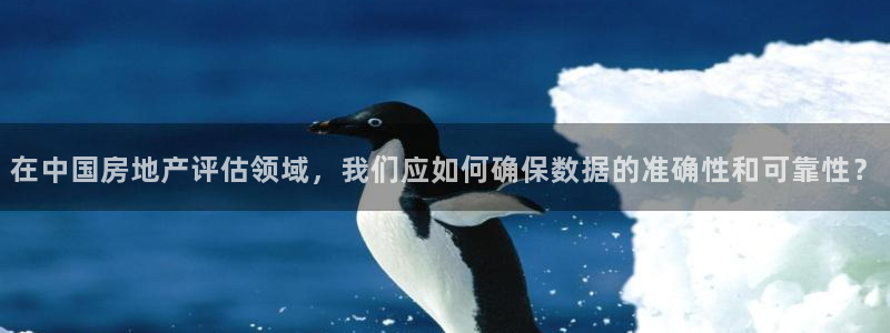 新宝5测：在中国房地产评估领域，我们应如何确保数据的准确性和