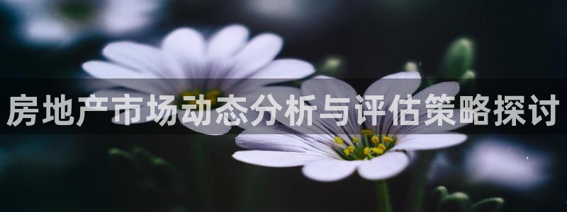 新宝5谠631257：房地产市场动态分析与评估策略探讨