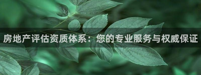 新宝5娱乐注：房地产评估资质体系：您的专业服务与权威保证