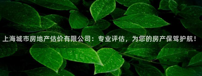 新宝5娱乐网址：上海城市房地产估价有限公司：专业评估，为您的