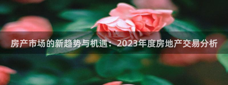 新宝5平台注册：房产市场的新趋势与机遇：2023年度房地产交