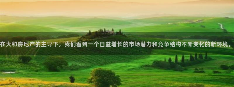 2022新宝骏rs 5：在大和房地产的主导下，我们看到一个日