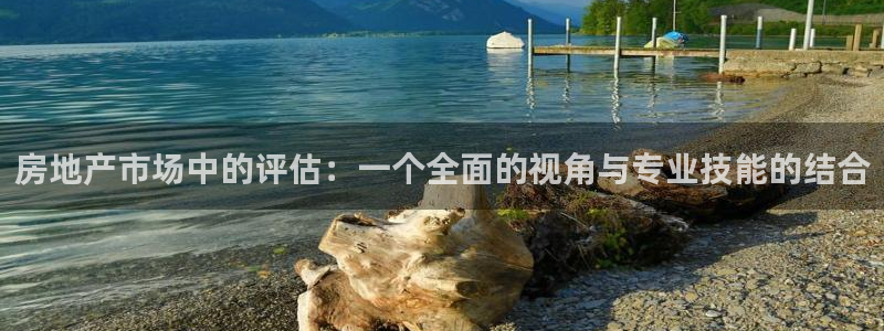 新宝5公司：房地产市场中的评估：一个全面的视角与专业技能的结
