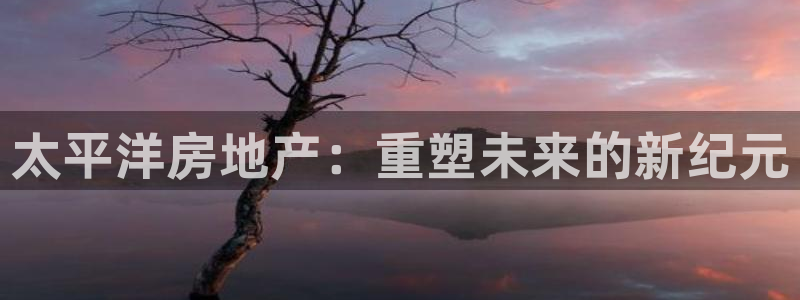 新宝3得74OO5：太平洋房地产：重塑未来的新纪元