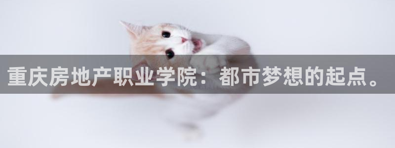 新宝5测速登陆：重庆房地产职业学院：都市梦想的起点。