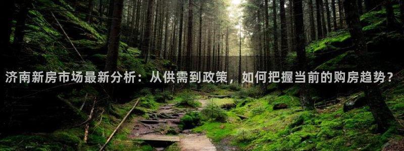 新宝5手机平台登陆：济南新房市场最新分析：从供需到政策，如何